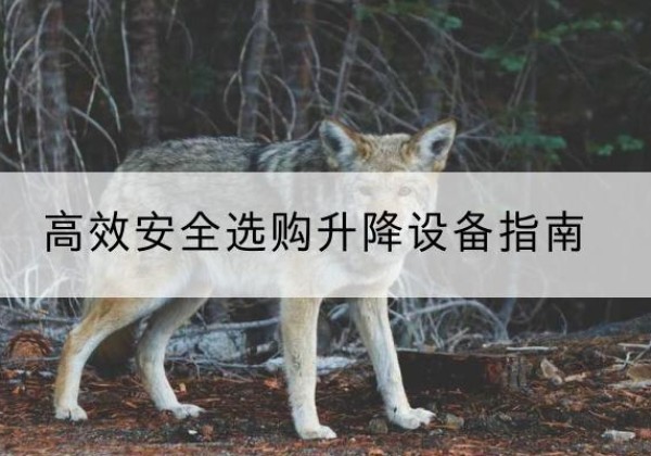 漾濞升降货梯厂家推荐-*安全选购升降设备指南