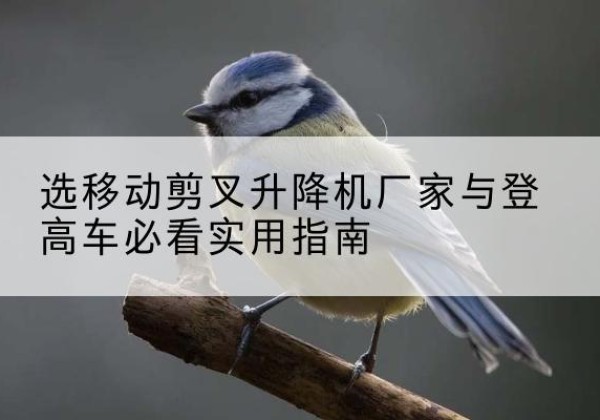 漾濞电动升降机厂家-选移动剪叉升降机厂家与登高车必看实用指南