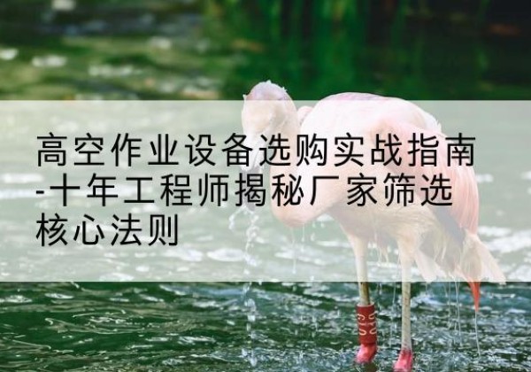 漾濞剪叉式升降机厂家-高空作业设备选购实战指南-十年工程师揭秘厂家筛选核心法则